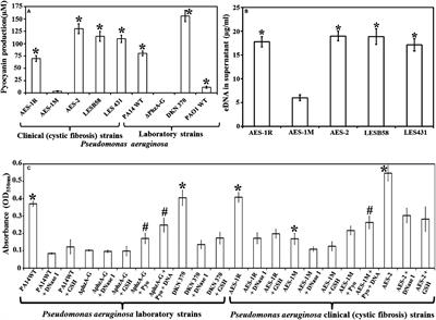 Glutathione Enhances Antibiotic Efficiency and Effectiveness of DNase I in Disrupting Pseudomonas aeruginosa Biofilms While Also Inhibiting Pyocyanin Activity, Thus Facilitating Restoration of Cell Enzymatic Activity, Confluence and Viability